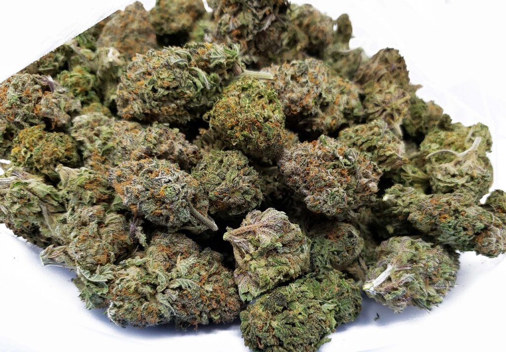 In a market where presentation often outpaces substance, Lit Farms stands out by grounding its work in cultivation discipline and genetic intent. The brand’s reputation is shaped less by spectacle and more by consistency, the quiet confidence that comes from doing a few things exceptionally well. For consumers who care about how cannabis is grown, selected, and delivered, Lit Farms represents a measured approach that values craft over noise.