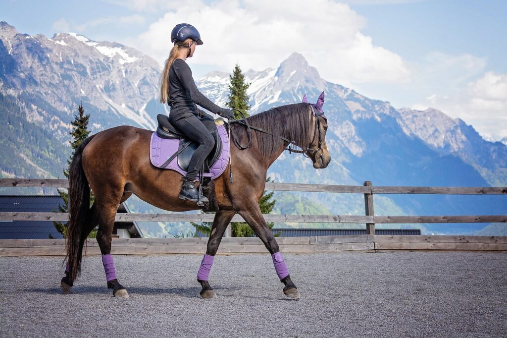 Equestrian Excellence: Discover the Latest Gear, Apparel, and Innovations at GS Equestrian In the world of equestrianism, excellence is more than just a standard—it’s a way of life. Whether you’re a seasoned professional or a passionate hobbyist, having the right equipment and apparel is crucial to ensure both performance and comfort for you and your horse. Enter GS Equestrian, a leading UK brand that combines cutting-edge innovation with high-quality craftsmanship to provide riders with the best in equestrian gear. From state-of-the-art safety features to stylish, functional apparel, GS Equestrian has everything you need to elevate your riding experience.
