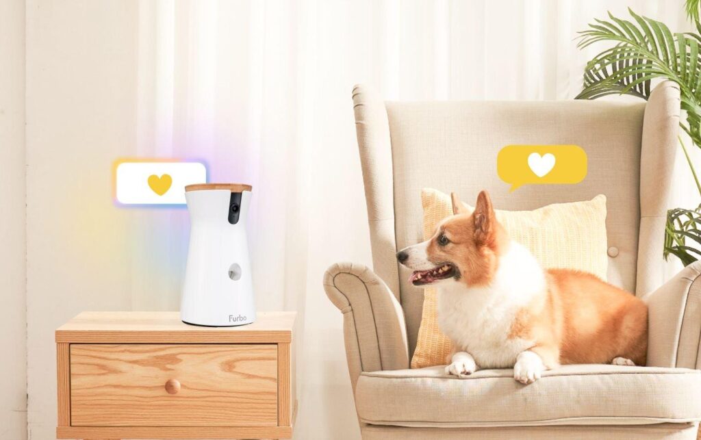 Rester Connecté Avec Son Chien Grâce À La Technologie Intelligente