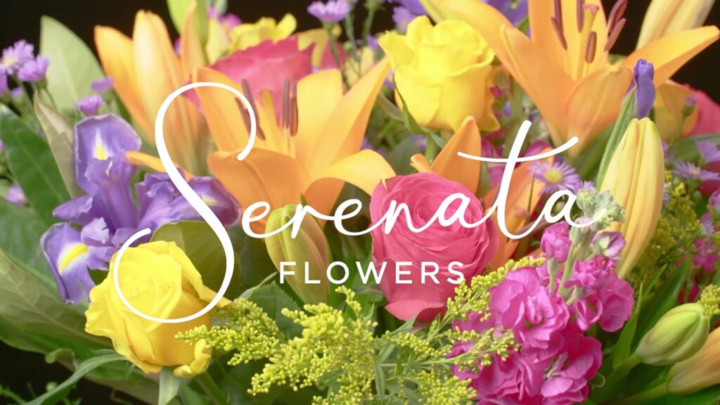 Serenata Flowers and the Art of Thoughtful Gifting
